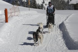 Kandersteg 2013